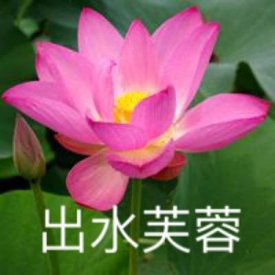 中国伦理学会实践哲学专业委员会在天津成立